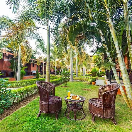 Vision Safari Pvt Ltd Hotel Sauraha Bagian luar foto